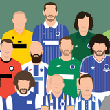 Brighton & Hove Albion Icons Print