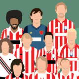 Stoke City Icons Print