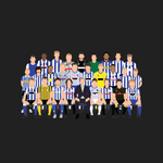 Sheffield Wednesday Icons T-shirt