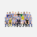 Sheffield Wednesday Icons T-shirt