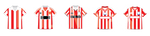 Stoke City Kit T-Shirt