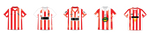Sunderland Kit T-Shirt