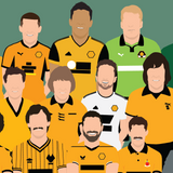 Wolverhampton Wanderers Icons Print