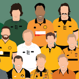 Wolverhampton Wanderers Icons Print