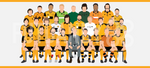 Wolverhampton Wanderers Icons Mug