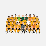 Wolverhampton Wanderers Icons T-shirt